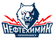 Neftekhimik Nizhnekamsk logo