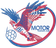 HC Motor Zaporizhzhia logo