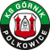 KS Gornik Polkowice logo