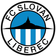 FC Slovan Liberec B logo