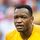 Steve Mandanda avatar