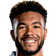 Reece James