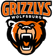 Grizzlys Wolfsburg logo