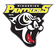 Ringerike Panthers logo