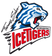 Nuremberg Ice Tigers logo