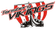 Tønsberg og Omegn IHK logo