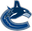 Vancouver Canucks logo