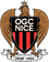Nice logo