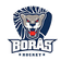 Boraas HC logo