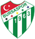 Bursaspor logo