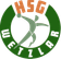 HSG Wetzlar logo