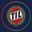 TIL 2020 logo