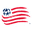 New England Revolution logo