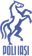 CSM Politehnica Iasi logo