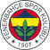 Fenerbahce logo