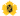 Skellefteå AIK logo