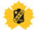 Skellefteå AIK logo