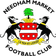 Needham Market FC logo