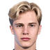 Lucas Bergvall