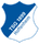 TSG Hoffenheim logo
