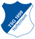 Hoffenheim logo